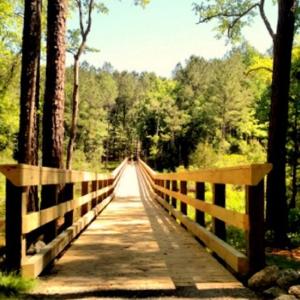 Neighborhood Boardwalk