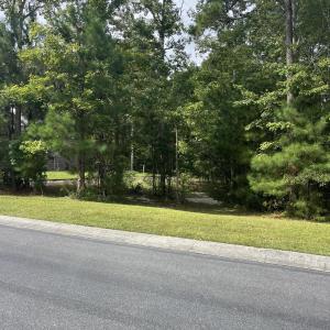 Front Elevation - Trattner