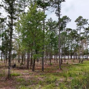 DJI_20240911123634_0080_D