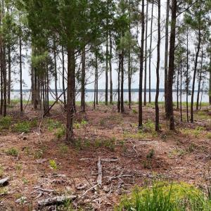 DJI_20240911123515_0076_D