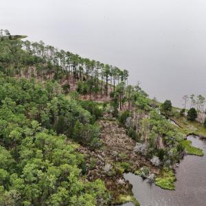 DJI_20240911123249_0069_D