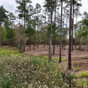 DJI_20240911123532_0078_D