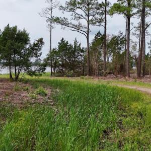 DJI_20240911123512_0075_D