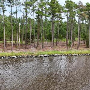 DJI_20240911123124_0067_D