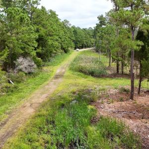 DJI_20240911123453_0074_D