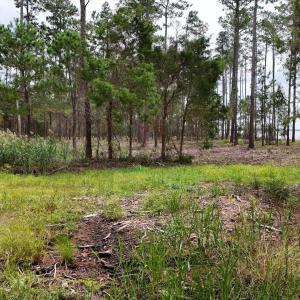 DJI_20240911123518_0077_D