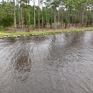 DJI_20240911123104_0066_D