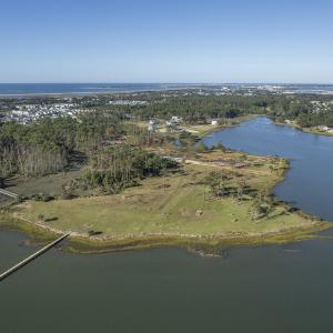 DJI_0383