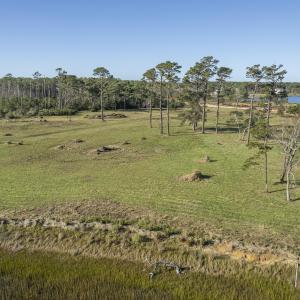 DJI_0389