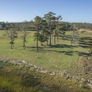 DJI_0404