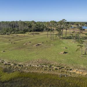 DJI_0406