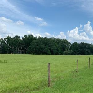 Foster Farm IMG_3283 corrected Front