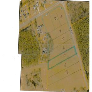 Lot 7