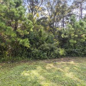 1.08 Acres E. Howe St., Southport, N.C.
