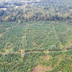 13-Final 260 Andermora Rd Maple Hill-RJR