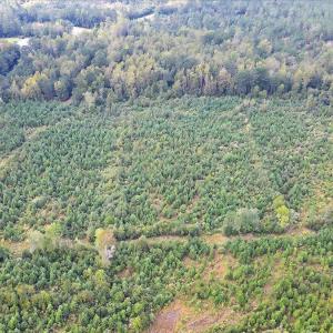 04-Final 260 Andermora Rd Maple Hill-RJR