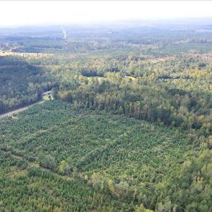 06-Final 260 Andermora Rd Maple Hill-RJR