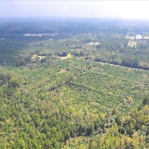 09-Final 260 Andermora Rd Maple Hill-RJR