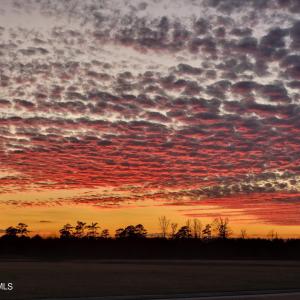 OCCANO SUNSET - BIG SKY