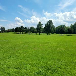 Street View - Lot 73 - Ph. 1