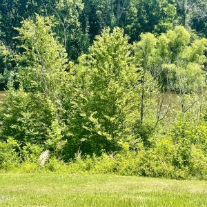 281 Old SR 1801, Scotland Neck, NC 27874