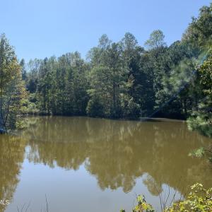 Pond