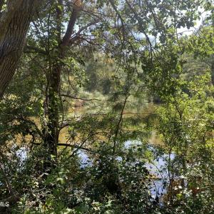 Pond