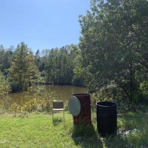 Pond View