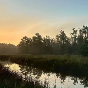 sun raise