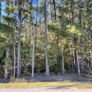 Lot 075