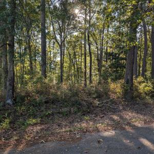 Martin Co Land Photo