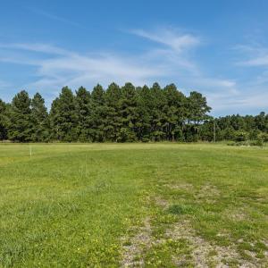 17-web-or-mls-1S3A7641