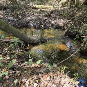 Indian Creek 1