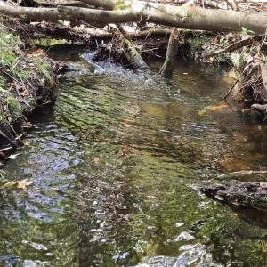 Indian Creek 2