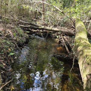 Indian Creek 3