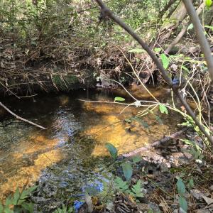 Indian Creek 4