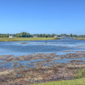 DSC_2671_2_3