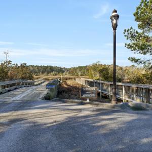 P6288494