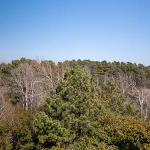 DJI_0885