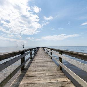 Common Pier