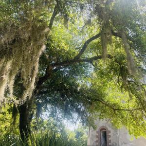 Bald Head Island