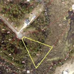 133 Cedarwood GIS Topo