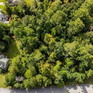 5-web-or-mls-DJI_0018