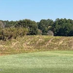 View from back of lot
