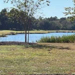 Pond view
