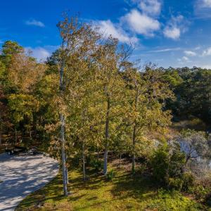 34-web-or-mls-chadwick-visuals-329-windi