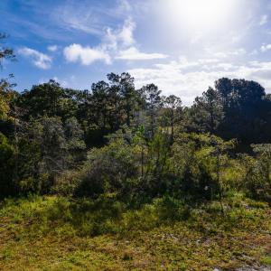 25-web-or-mls-chadwick-visuals-329-windi