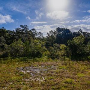 14-web-or-mls-chadwick-visuals-329-windi