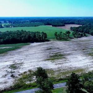 Tract #10 Cowpen Swamp Rd