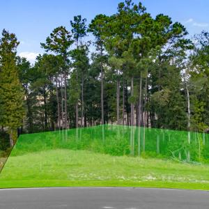 Streetview of the lot